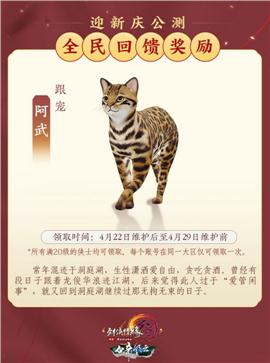天龙八部私服显示表